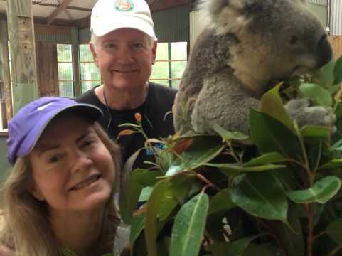 Firebird Tours-罗马必去景点