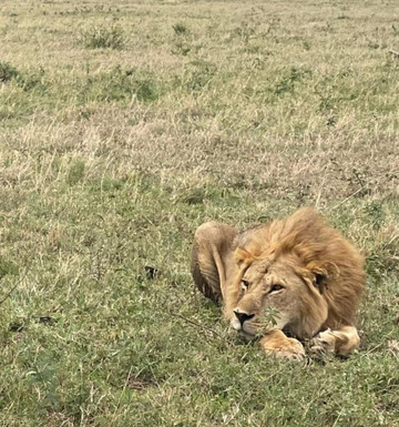 Salt Holidays-坎帕拉必去景点