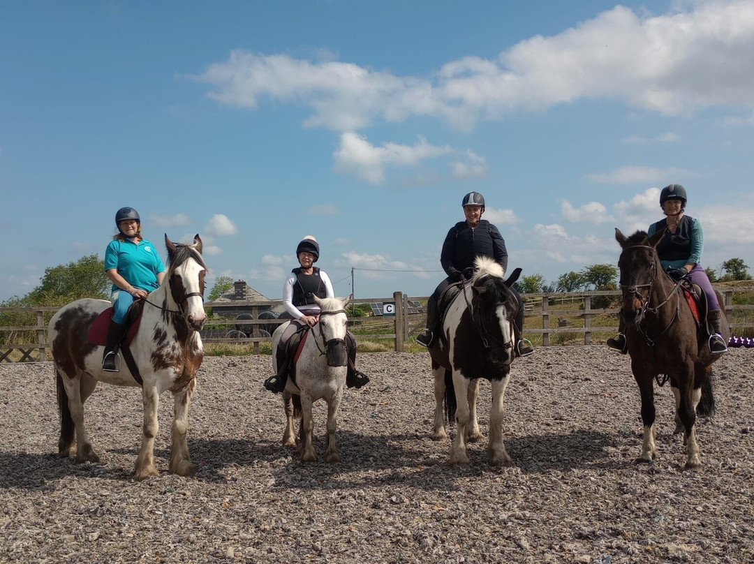 Caradon Hill Trekking and Equestrian Centre-Pensilva必去景点
