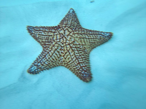 Cozumel Windseekers - Luxury Charters-考祖梅必去景点