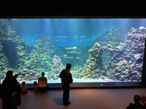 Sjofartsmuseet Goteborg-哥德堡必去景点