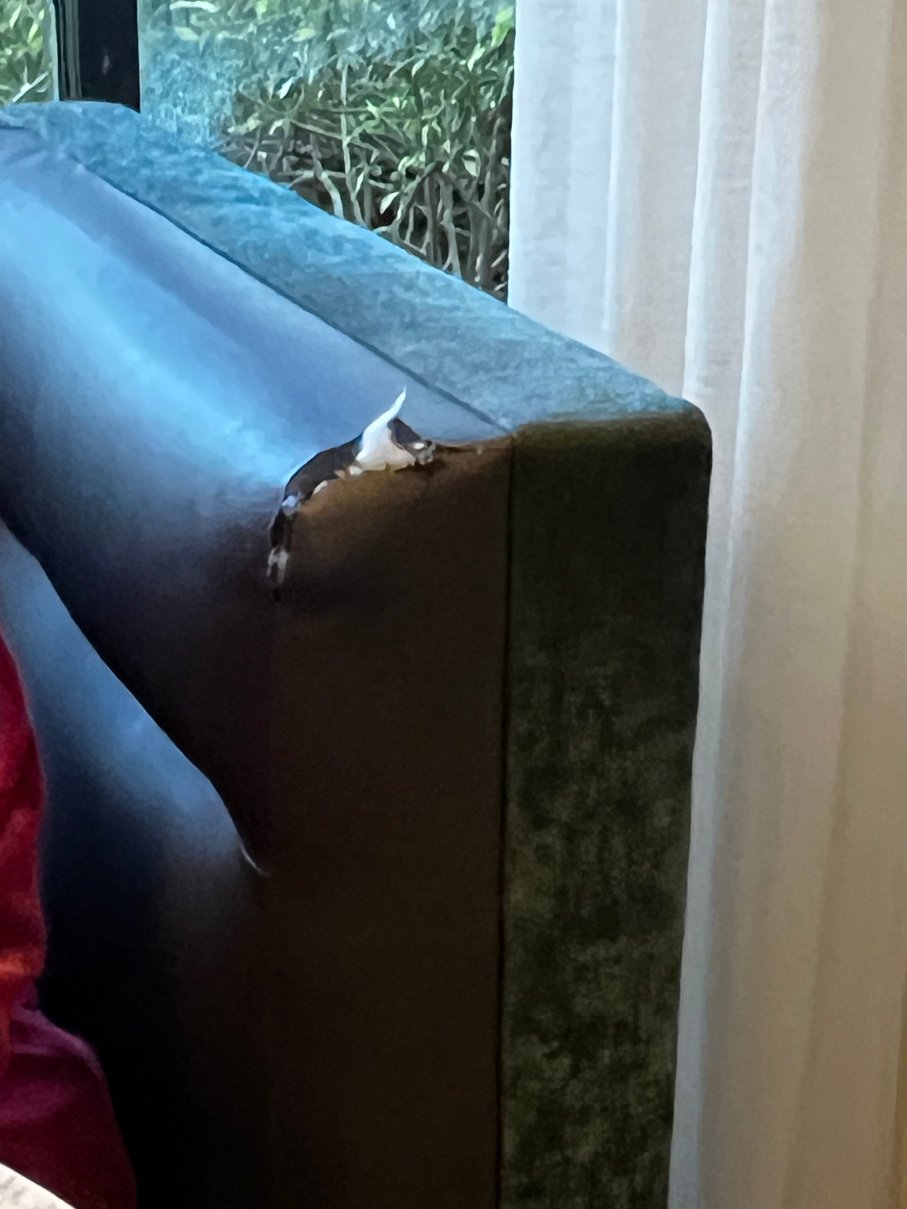 凯悦嘉轩酒店-劳德代尔堡普兰特区-官方