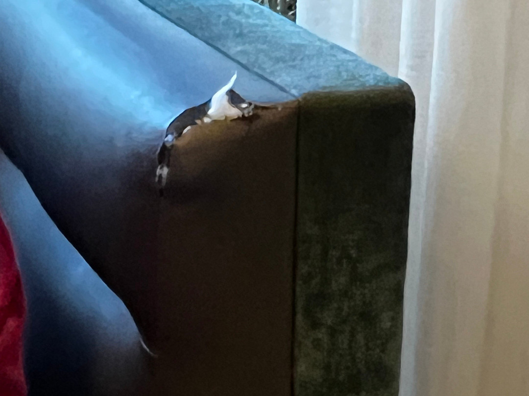 凯悦嘉轩酒店-劳德代尔堡普兰特区主图