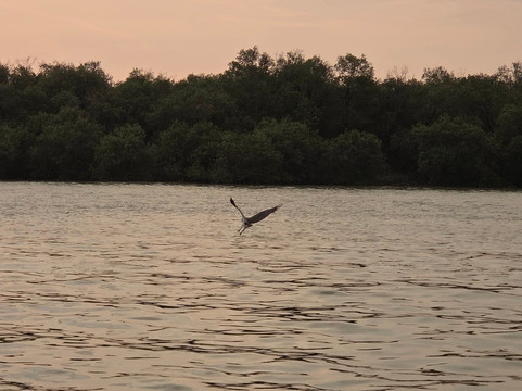 Gowithanthony-万挠必去景点