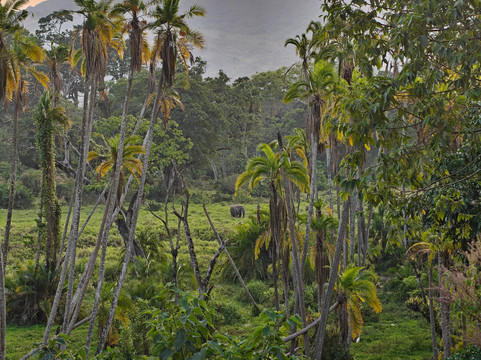 Lucy Ethiopia Tours-亚的斯亚贝巴必去景点