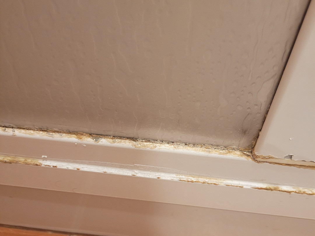 伊莎贝尔夫人酒店主图