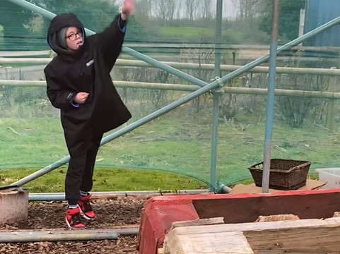 Baboon Adventures-马姆斯伯里必去景点