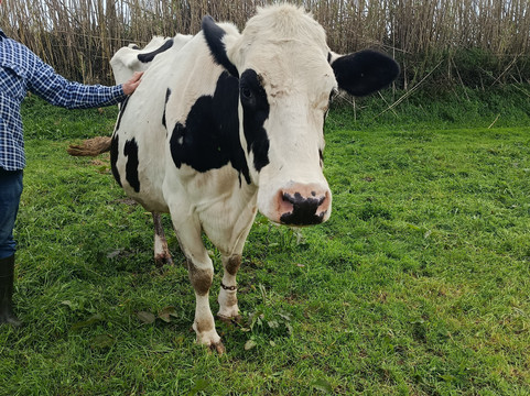 Quinta do Agricultor-蓬塔德尔加达必去景点