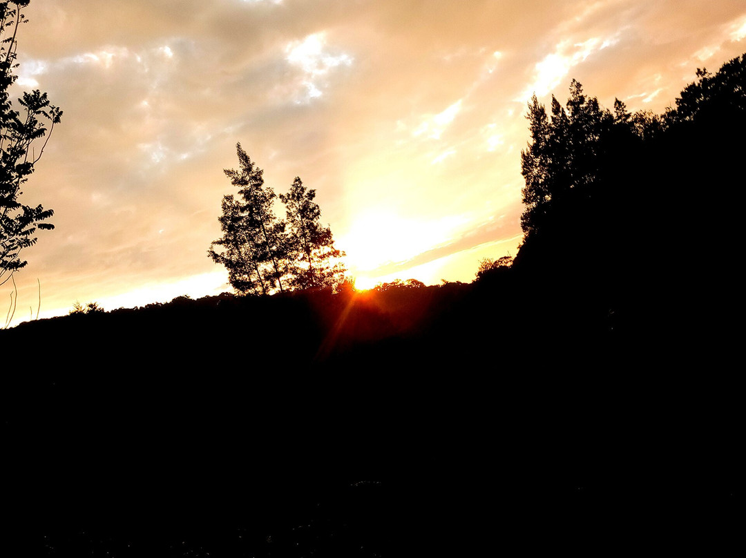 Usambara  Adventures-卢绍托必去景点