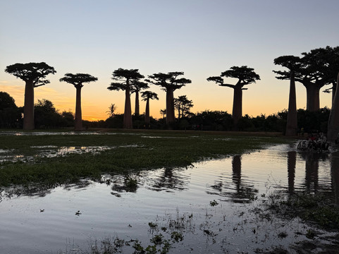 Soul of Madagascar Tours-Toamasina (Tamatave)必去景点
