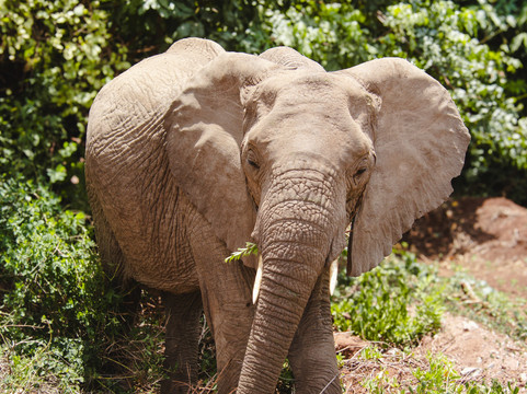 Great Escape Trails-莫西必去景点
