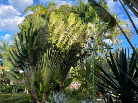 Las Puertas del Paraíso主图