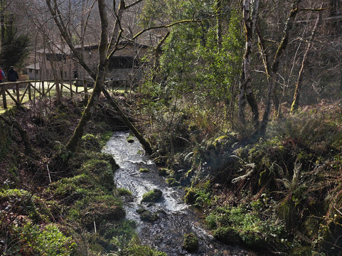Complejo Rural la Tahona de Besnes主图