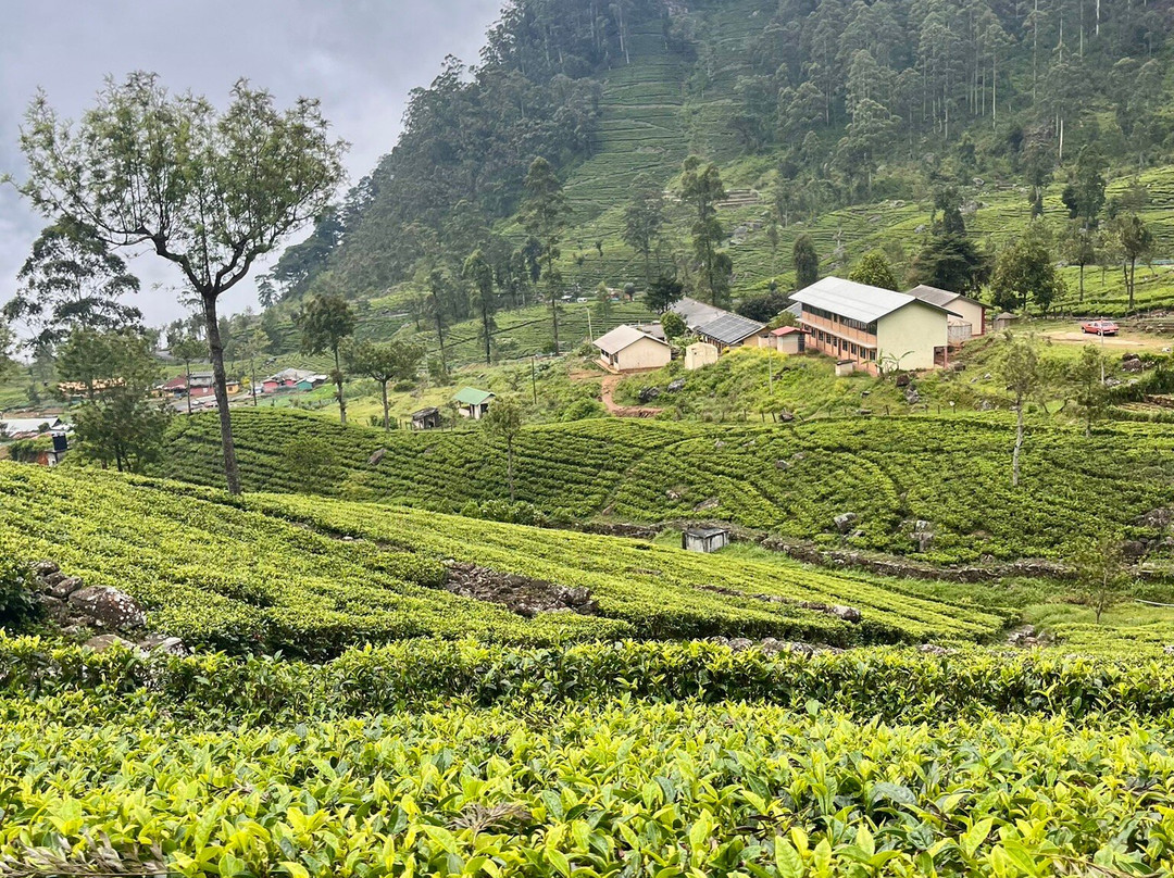 USP Lanka Tours-科伦坡必去景点