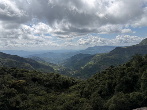 Nipuna Knuckles Trekking-康提必去景点