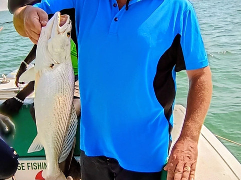 Paradise Fishing Gambia-班竹必去景点