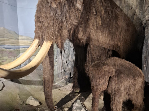 National Museum Cardiff-卡迪夫必去景点