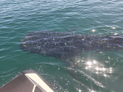 Blessing Tours-Area de Conservacion Guanacaste必去景点