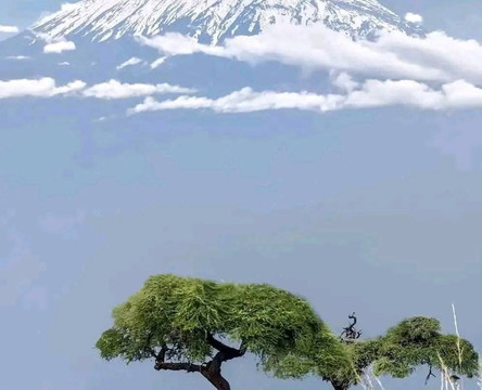 Destinations Kenya Safari-内罗毕必去景点