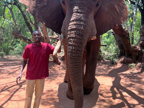 Elephant Sanctuary Hartbeesport Dam-哈特比斯普特必去景点