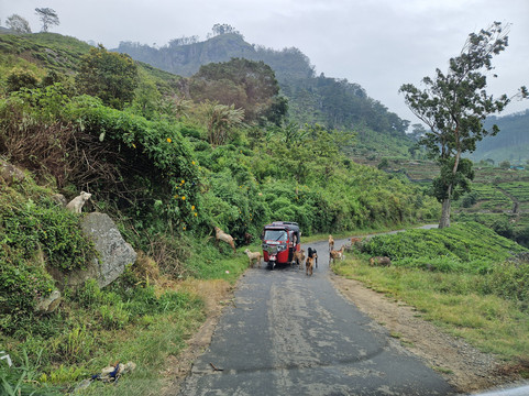 Ceylon Tours By Ananda-Raddolugama必去景点