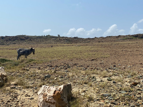 阿勒柯克国家公园-Santa Cruz必去景点