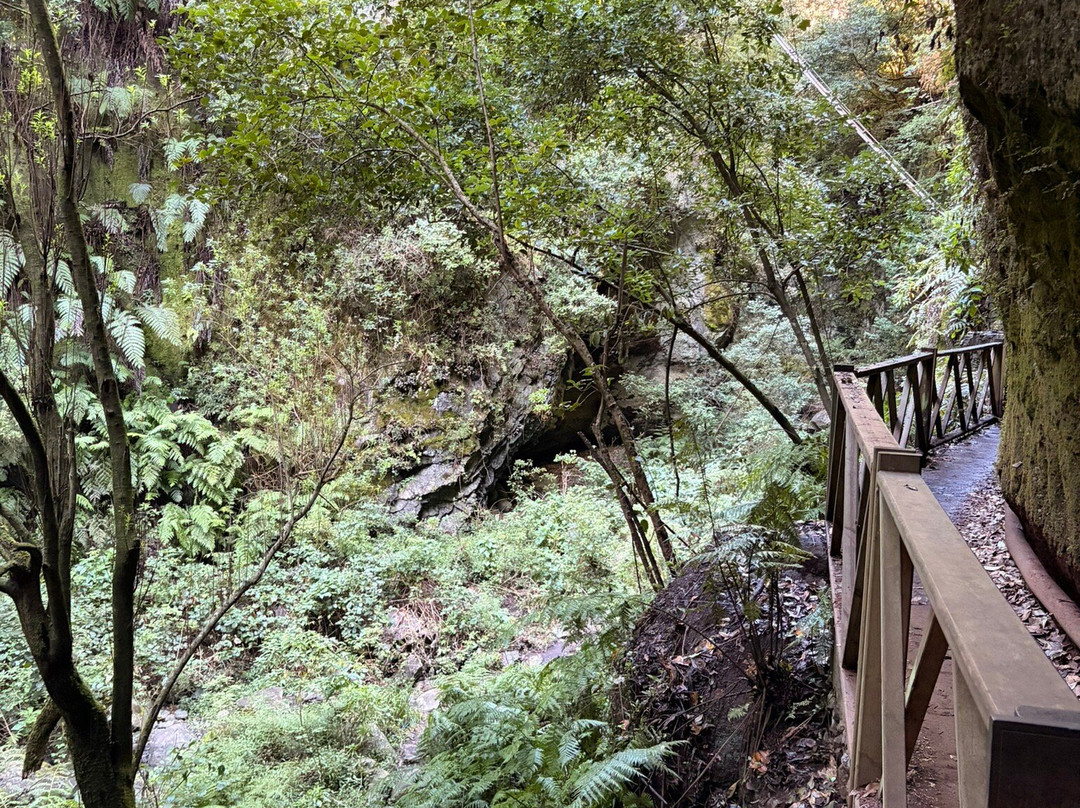 Cascada De los Tilos-San Andres y Sauces必去景点