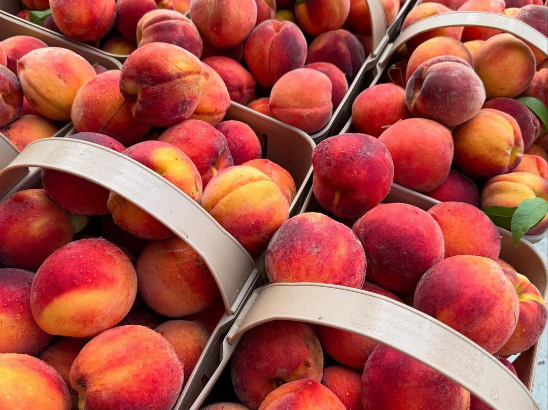 Gatewood Vegetable Farm & Greenhouses, Inc.-Noblesville必去景点