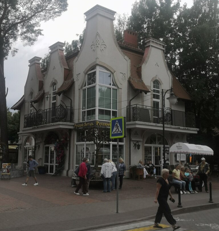 Central Square-斯韦特洛戈尔斯克必去景点