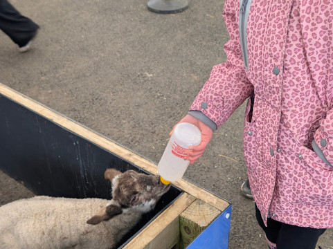 Piglets Adventure Farm-约克必去景点