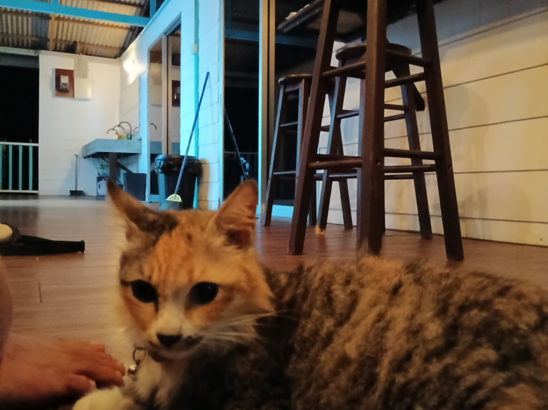 Juara Scuba Academy-刁曼岛必去景点