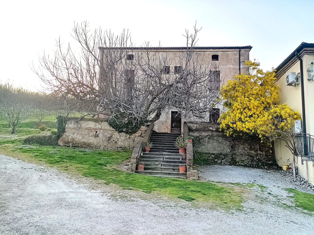 Azienda Agricola Loreggian-Arqua Petrarca必去景点