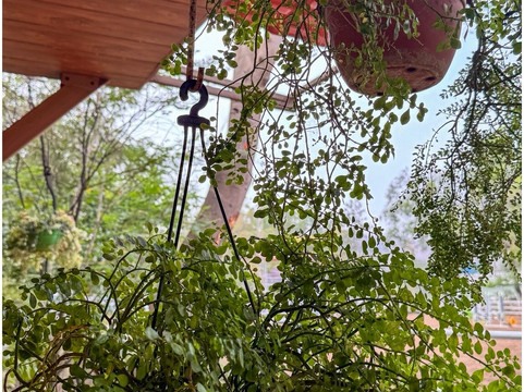 Japalouppe Equestrian Centre-Talegaon必去景点