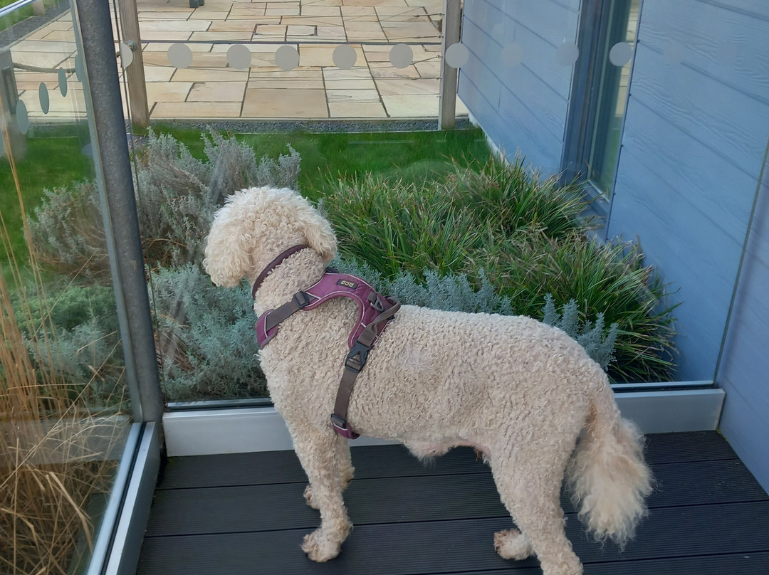 盐之山林小屋主图