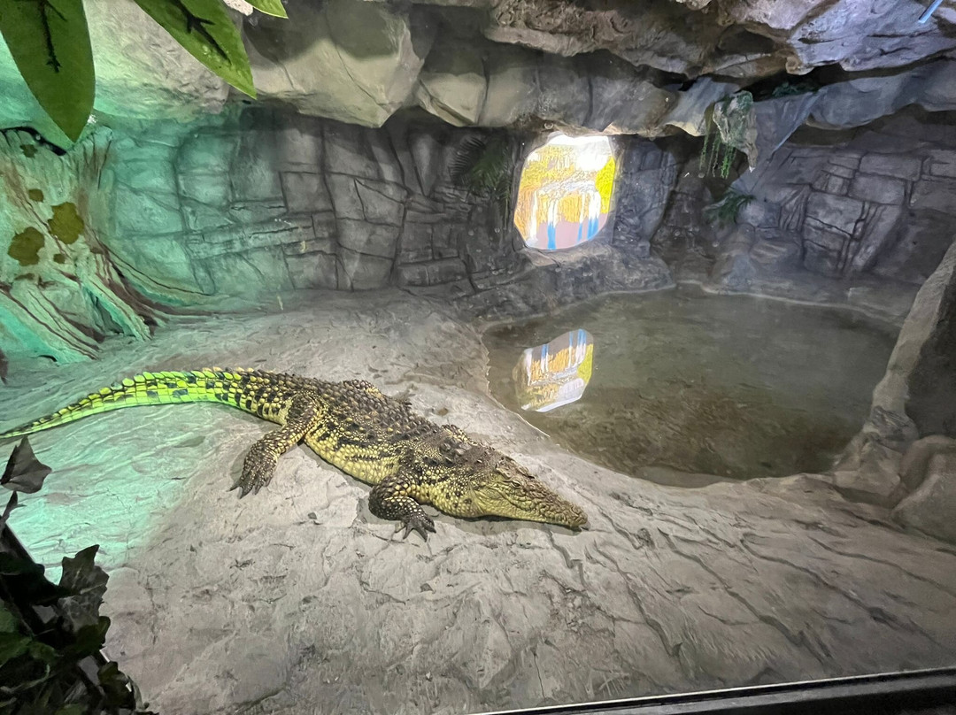 Regional Natural History Museum of Plovdiv-普罗夫迪夫必去景点