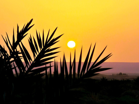 Marruecos en Ruta-Hassilabied必去景点