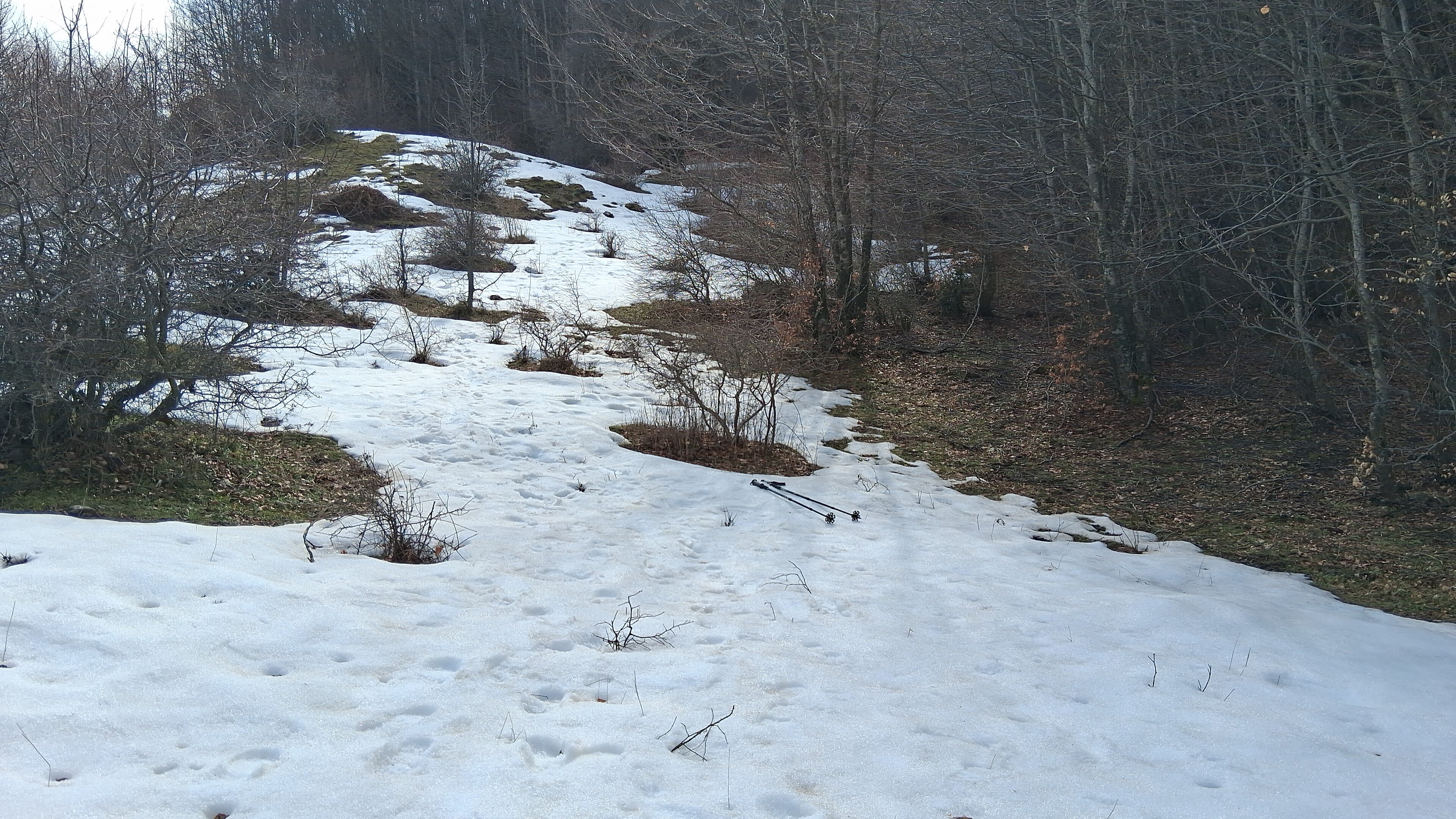 Hotel Pino Loricato-官方