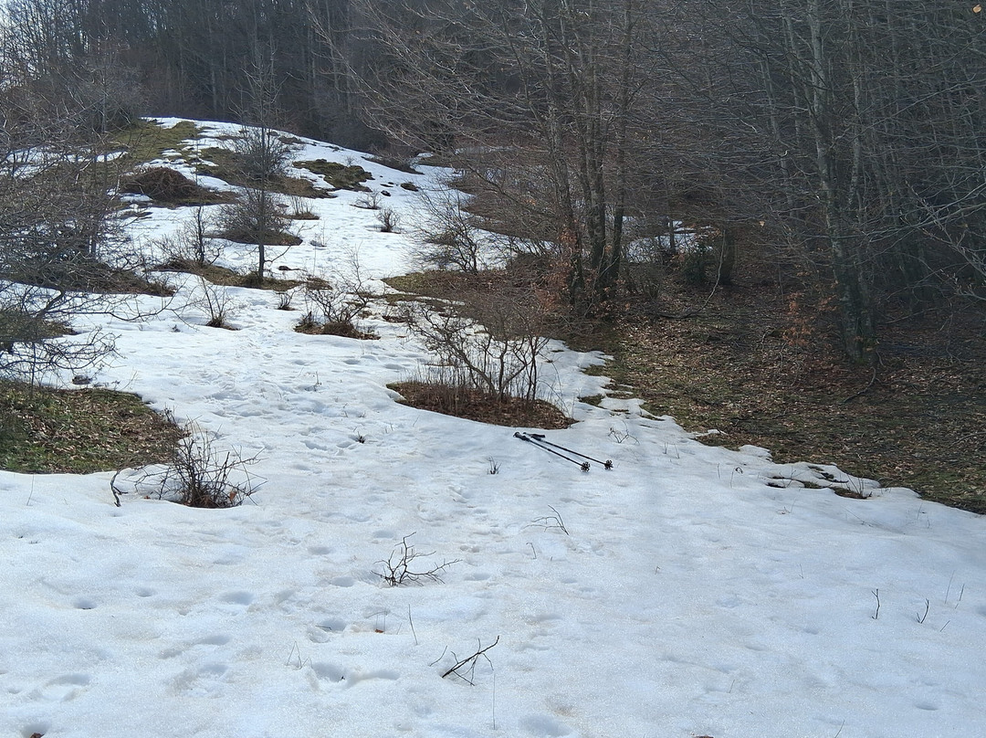 Hotel Pino Loricato主图