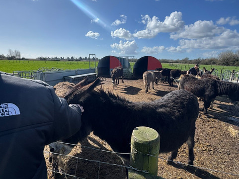 Walnut Tree Farm Park-St. Brides Wentlooge必去景点