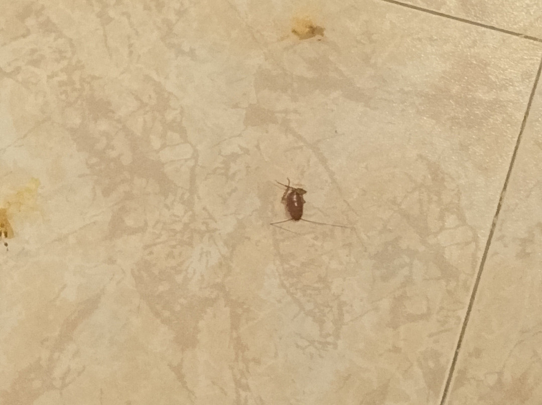 埃斯特拉圣塔玛酒店与会议中心主图