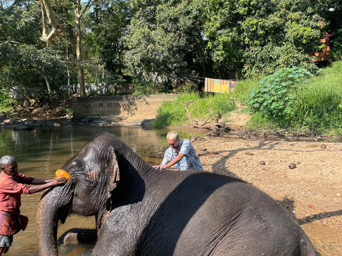 Elephant Freedom Project-凯格勒 必去景点