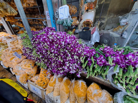 5 Senses Tours-班加罗尔必去景点