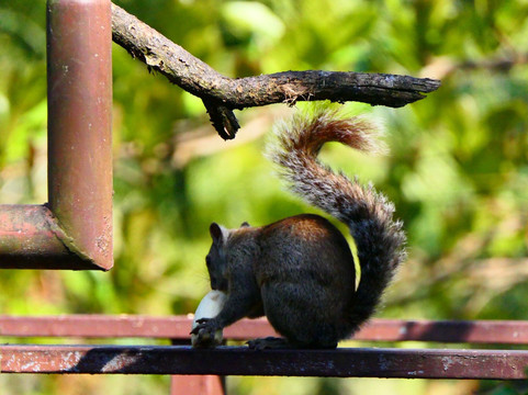 特诺里奥旅舍主图