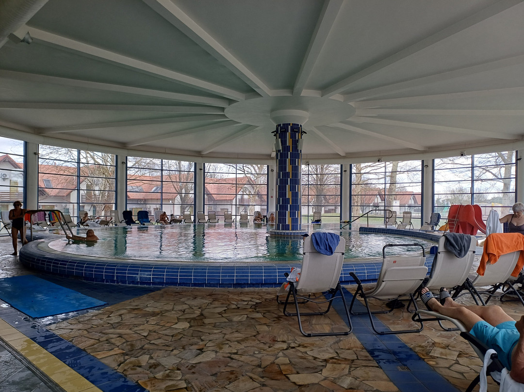 Thermal Resort Hotel Lendava主图