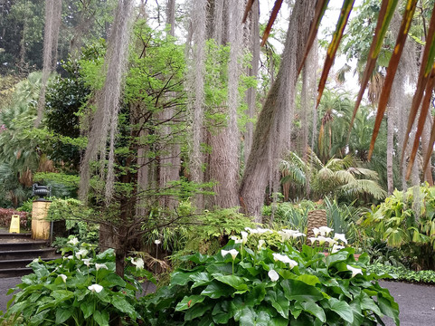 Botanischer Garten-德拉克鲁兹索尔港必去景点