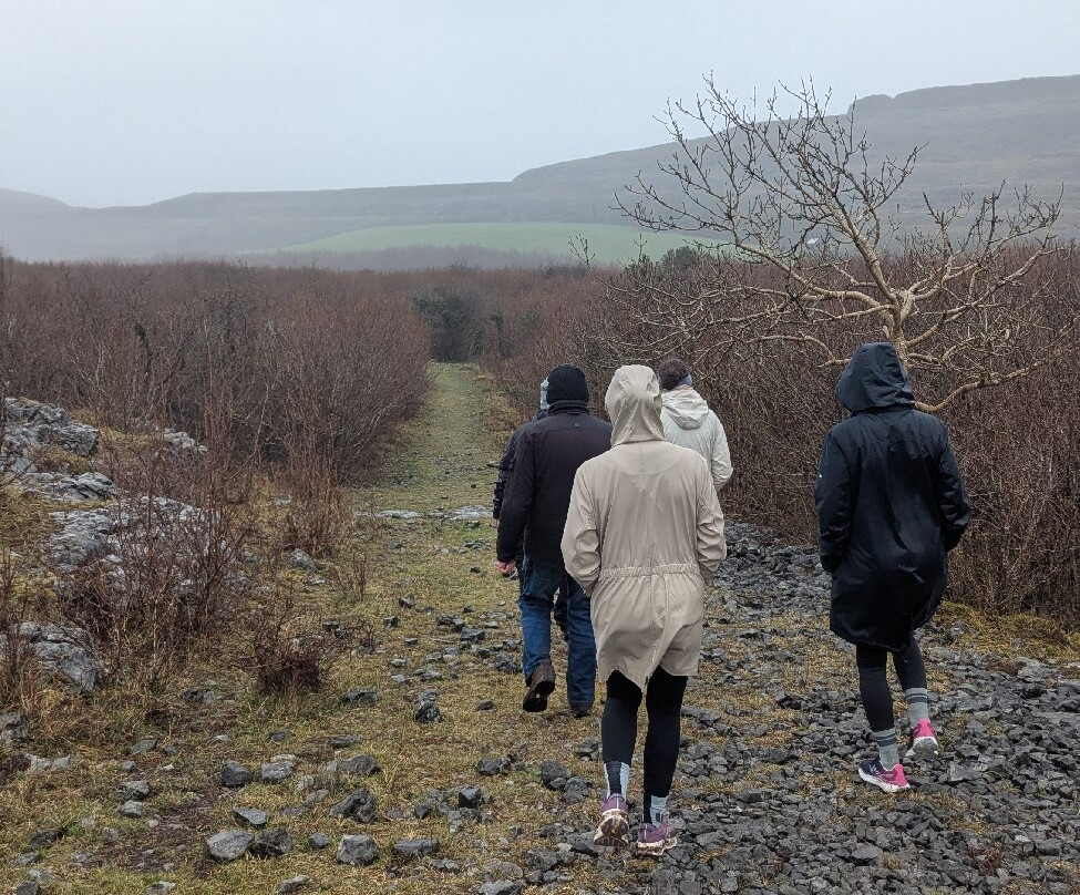 Burren Walks-金瓦拉必去景点