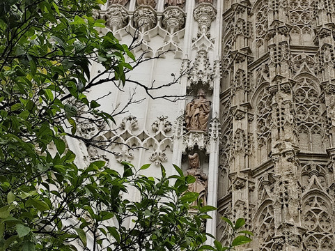 All Sevilla Guided Tours-塞维利亚必去景点