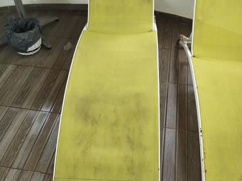 L'oiseau de Paradis主图