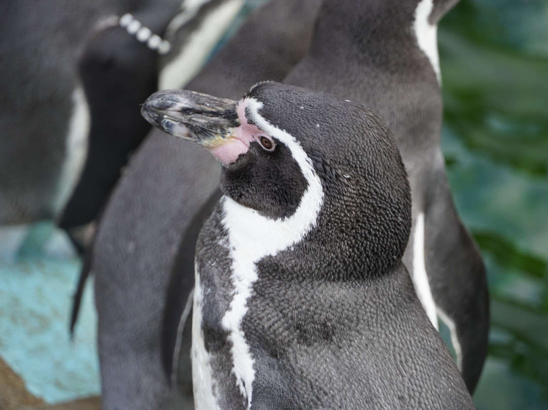 Curraghs Wildlife Park-Ballaugh必去景点