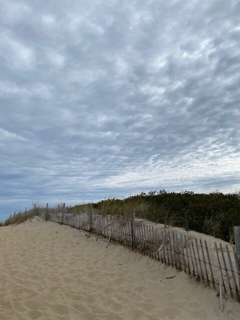 Cape Henlopen State Park-刘易斯必去景点